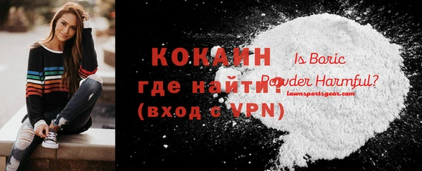 PSILOCYBIN Кодинск