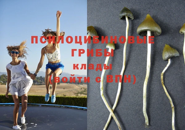 прущая мука Липки